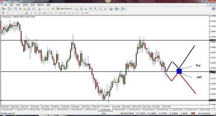 Zayla forex system forum