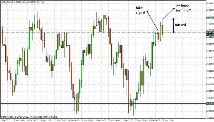 I am looking for forex traders