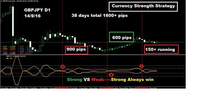 Forex currency news live