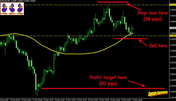 3 ducks trading system download