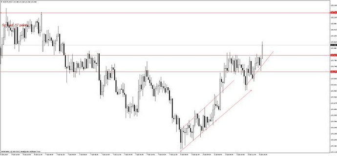 5 pips daily forex