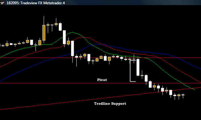 Gator forex