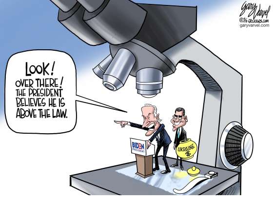 cartoon - Biden - 10